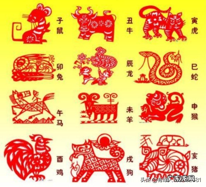 属蛇跟属虎相配吗?