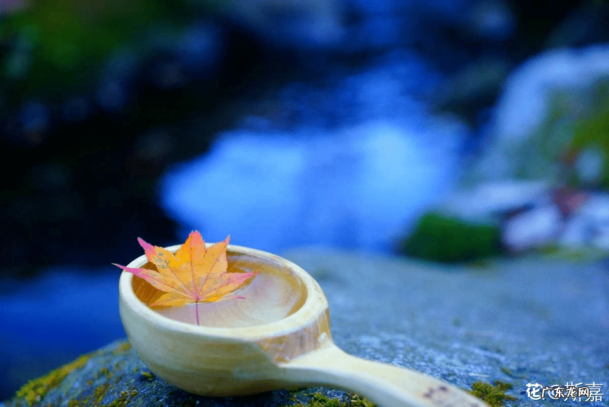 头发最近掉的厉害怎么办 头发掉的很厉害该怎么办