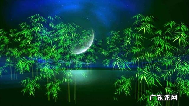 竹子喜不喜欢阳光 竹子怕太阳吗