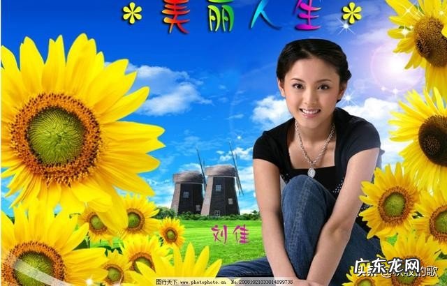 成功的人生有唯一标准吗?有完美的人生吗?