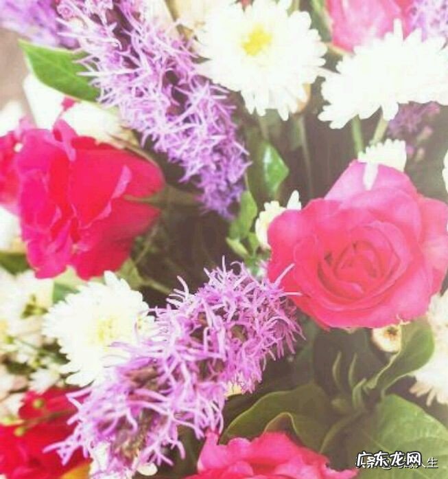 如何调整自己在职场上的心态？