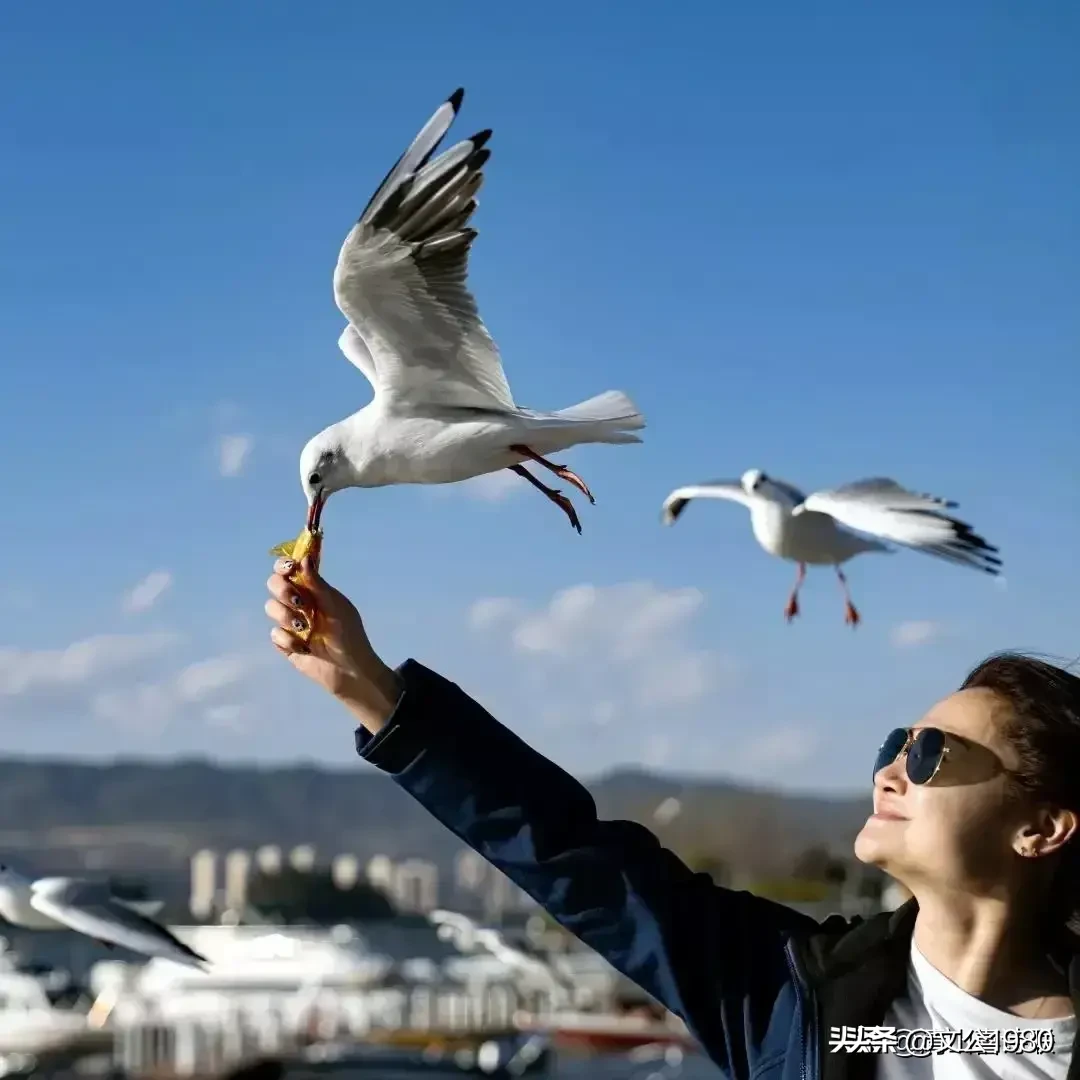 中国足球,能否制定适合中国人体育训练专用球及比赛规则?