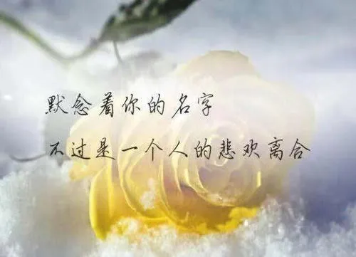 感伤的美文句子有哪些?