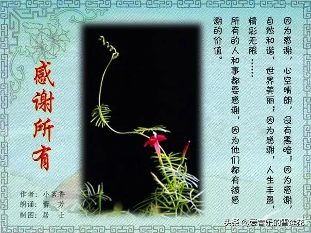 你在乌鲁木齐遇到过什么让你感动的事情?