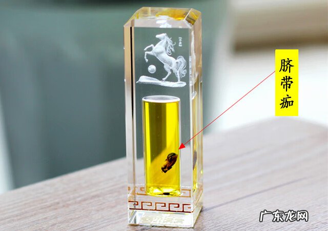 婴儿脐带脱落要不要扔 脐带脱落后怎么处理