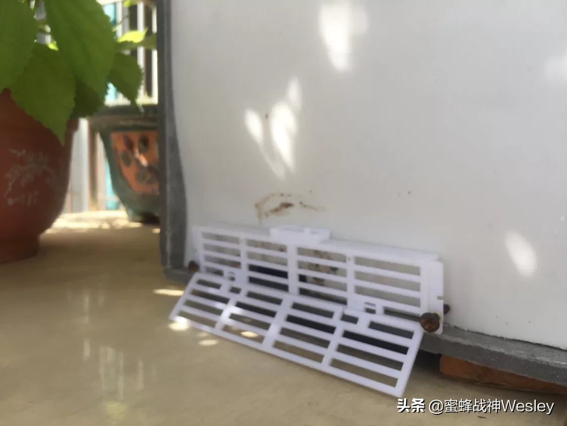 新收来的蜜蜂进粉后还需要饲喂吗7?