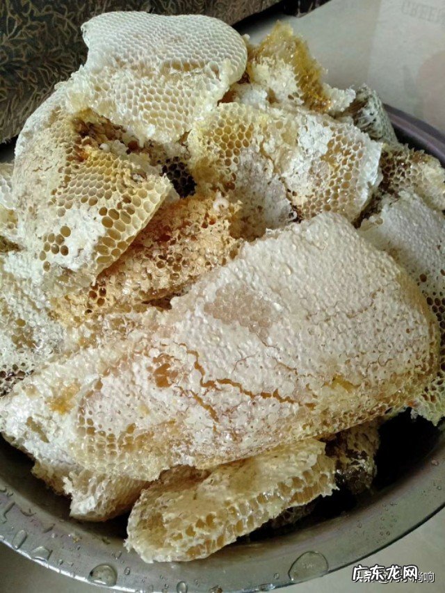 新收来的蜜蜂进粉后还需要饲喂吗7?