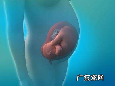 国内有产前无创DNA亲子鉴定的技术吗?