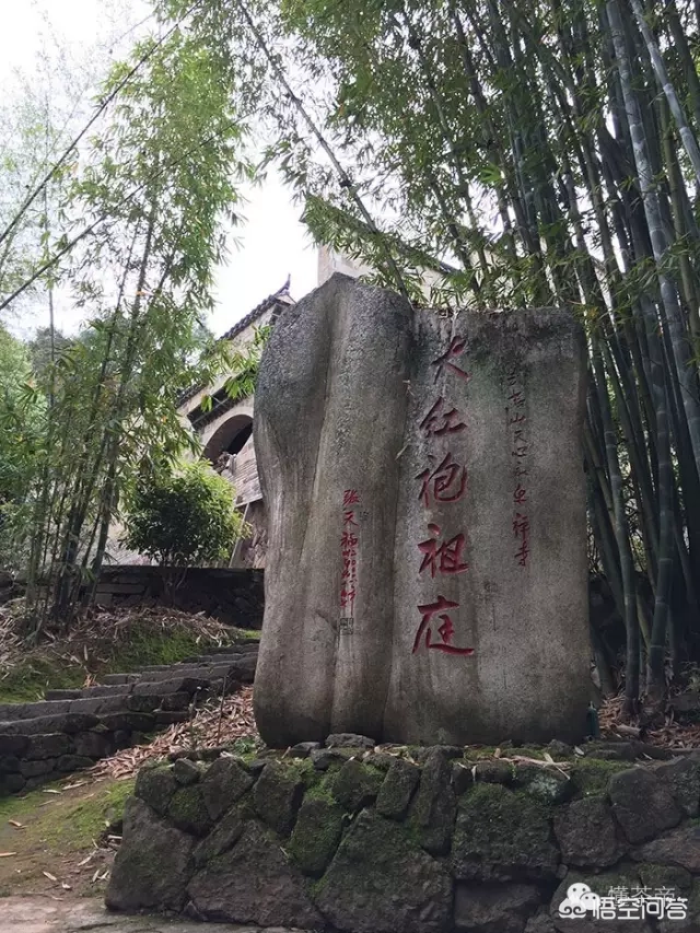 岩茶有哪些分类?