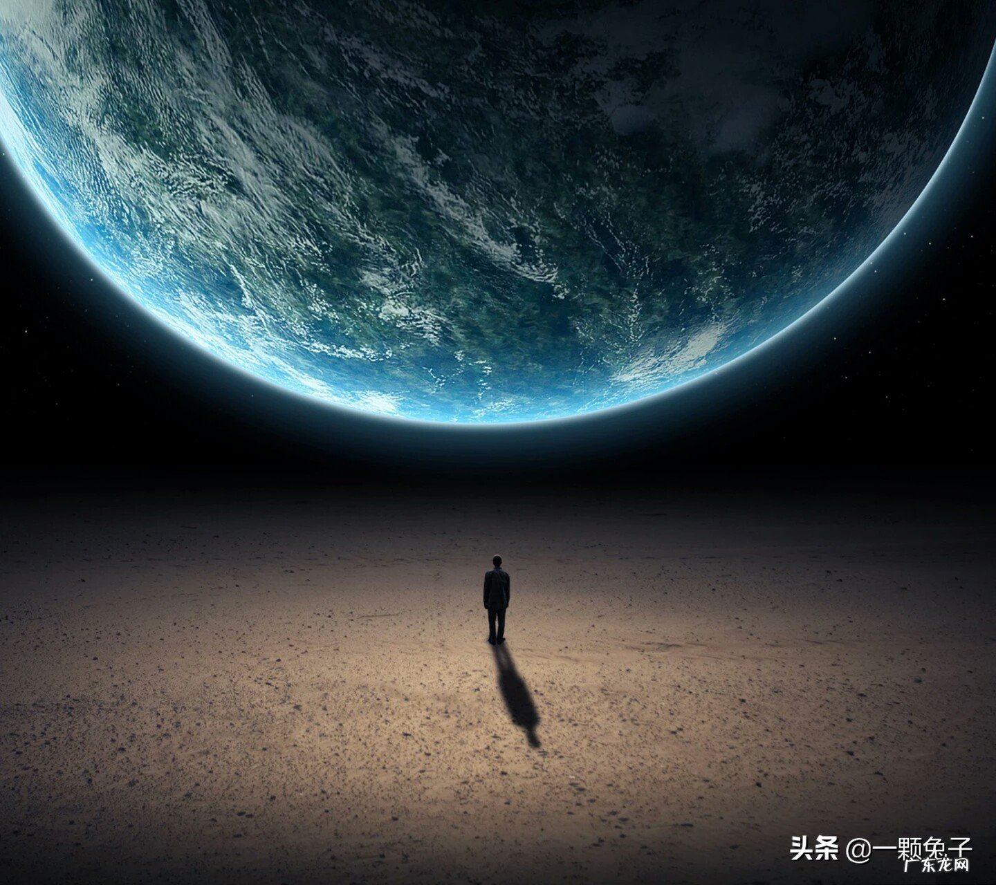 有什么好的文案吗？无关爱情？