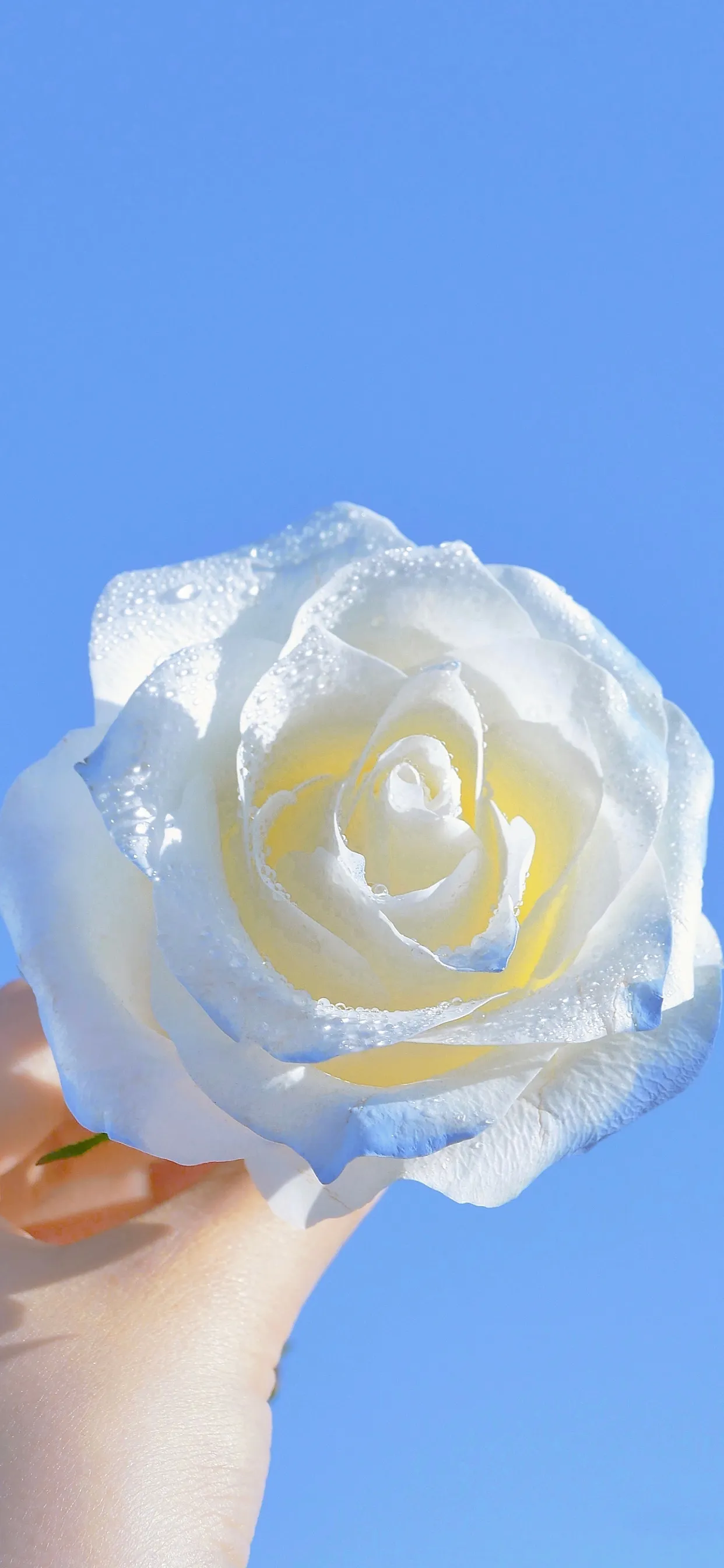 有什么好的文案吗？无关爱情？