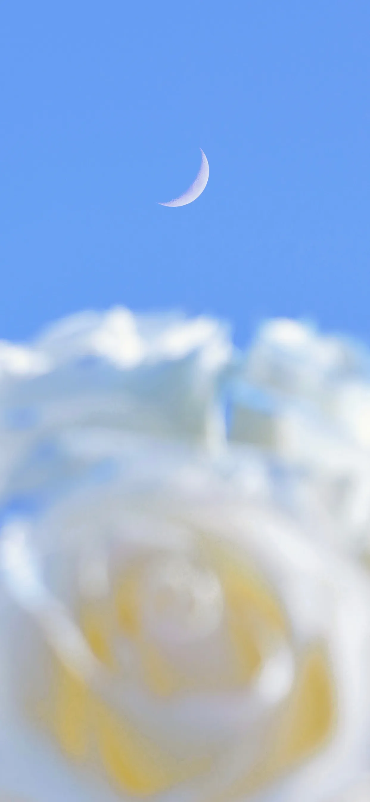 有什么好的文案吗？无关爱情？