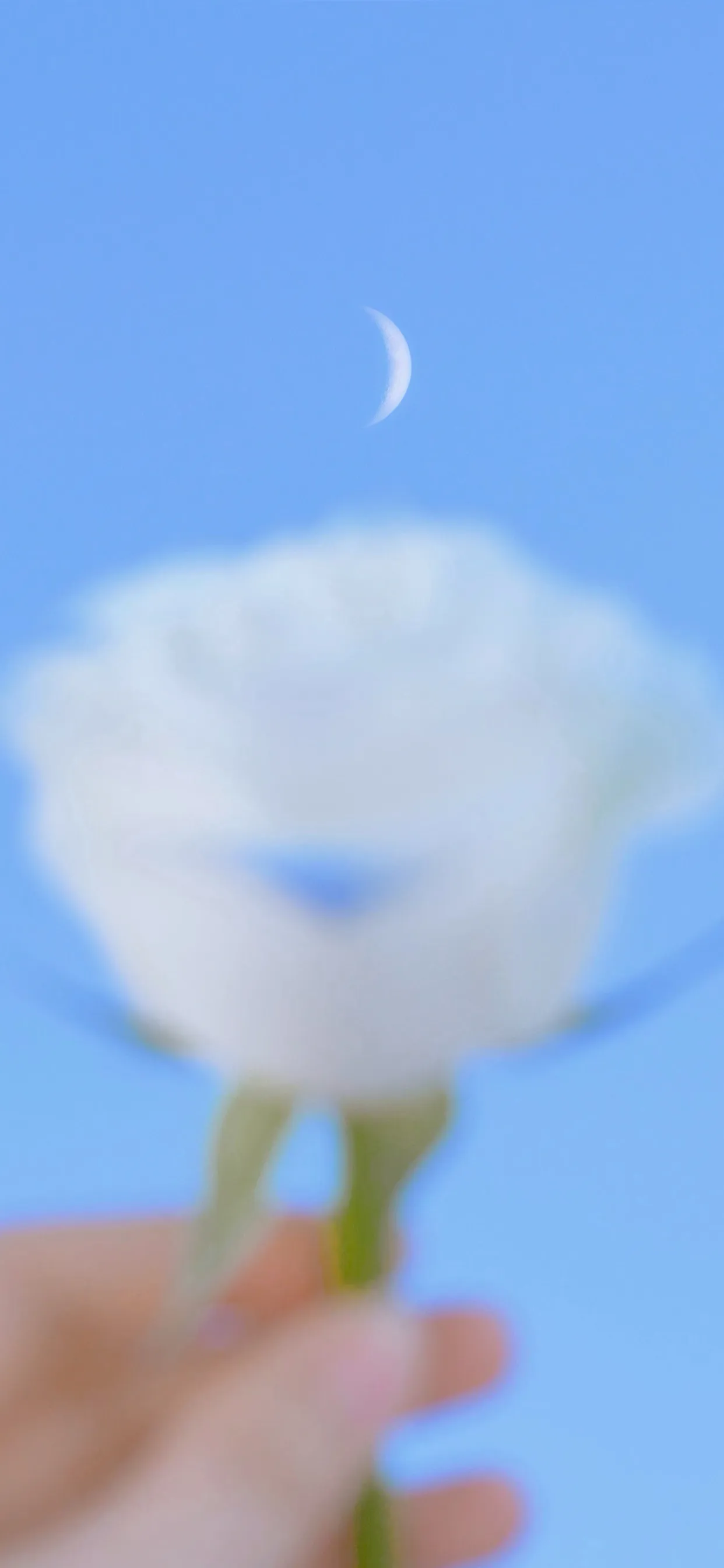 有什么好的文案吗？无关爱情？