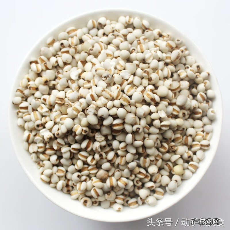 薏米怎么吃最好最方便 薏米怎么吃才好吃