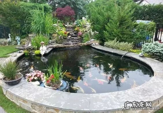 锦鲤池底部铺什么好 楼梯底下锦鲤池风水好吗