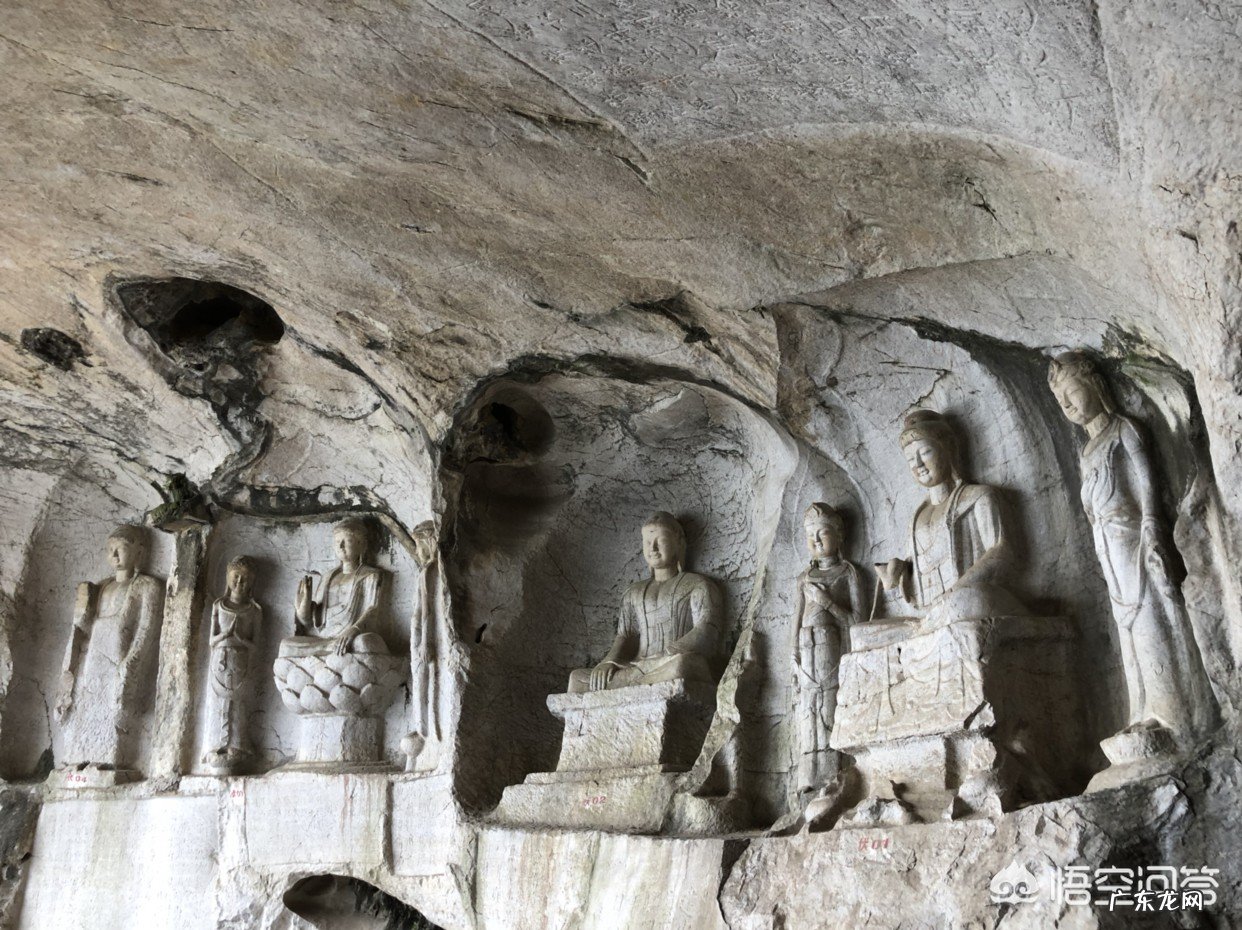 在交谈中人们有时候会说你有没有常识,那么常识包括哪些内容,具体是什么?