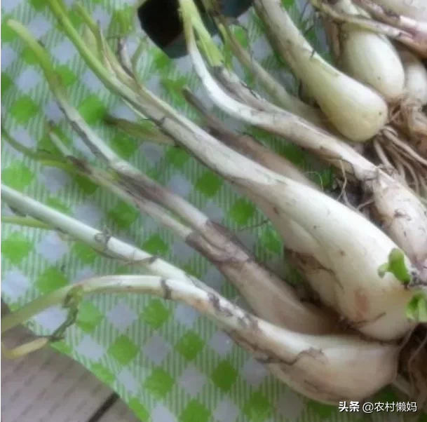 宝宝感冒咳嗽流鼻涕小妙招?