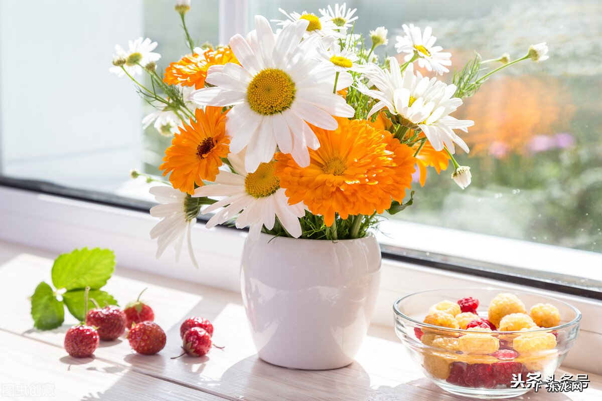 最近想养花,大家有什么推荐么?最好春节期间能开的?