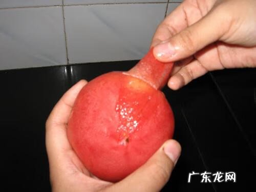 哪里有柿子皮的 去西红柿皮