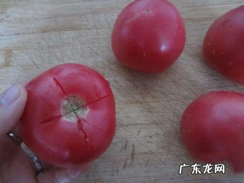 哪里有柿子皮的 去西红柿皮