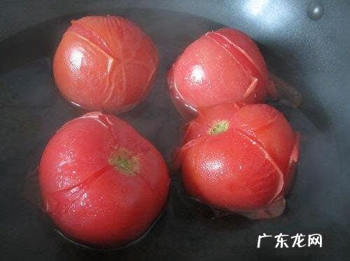 哪里有柿子皮的 去西红柿皮