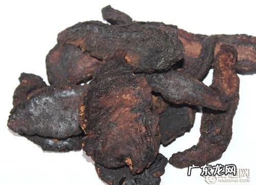 生地黄和熟地黄的区别功效与作用 生地黄的功效与作用与主治