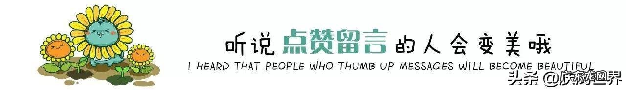 kiss the bus kissbuss