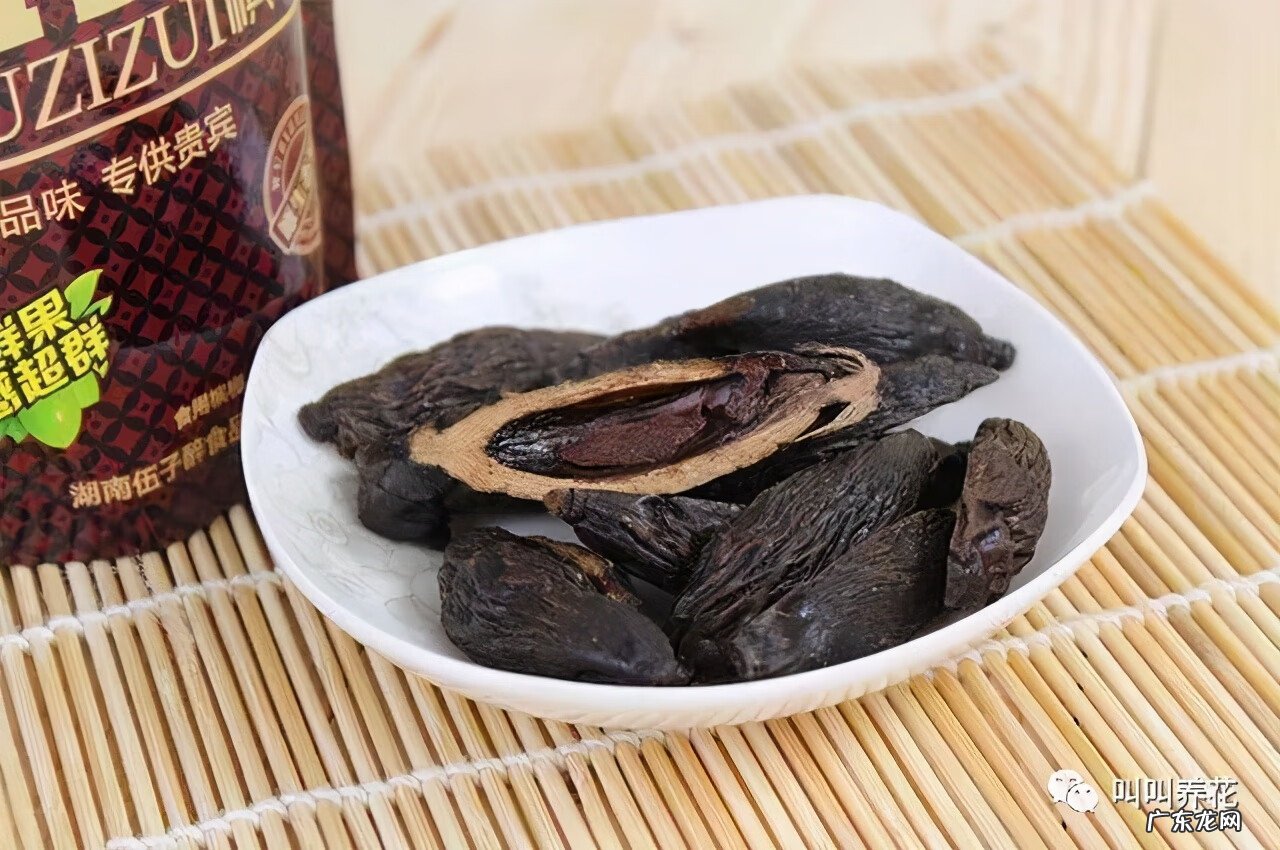 槟榔树象征什么 槟榔树的风水寓意