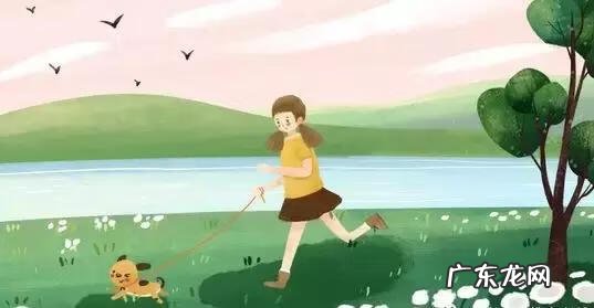 端午节优秀作文300字左右 关于端午节的作文300字左右