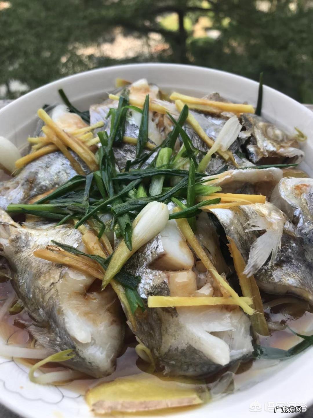 家里做什么鱼吃方便容易还好吃?