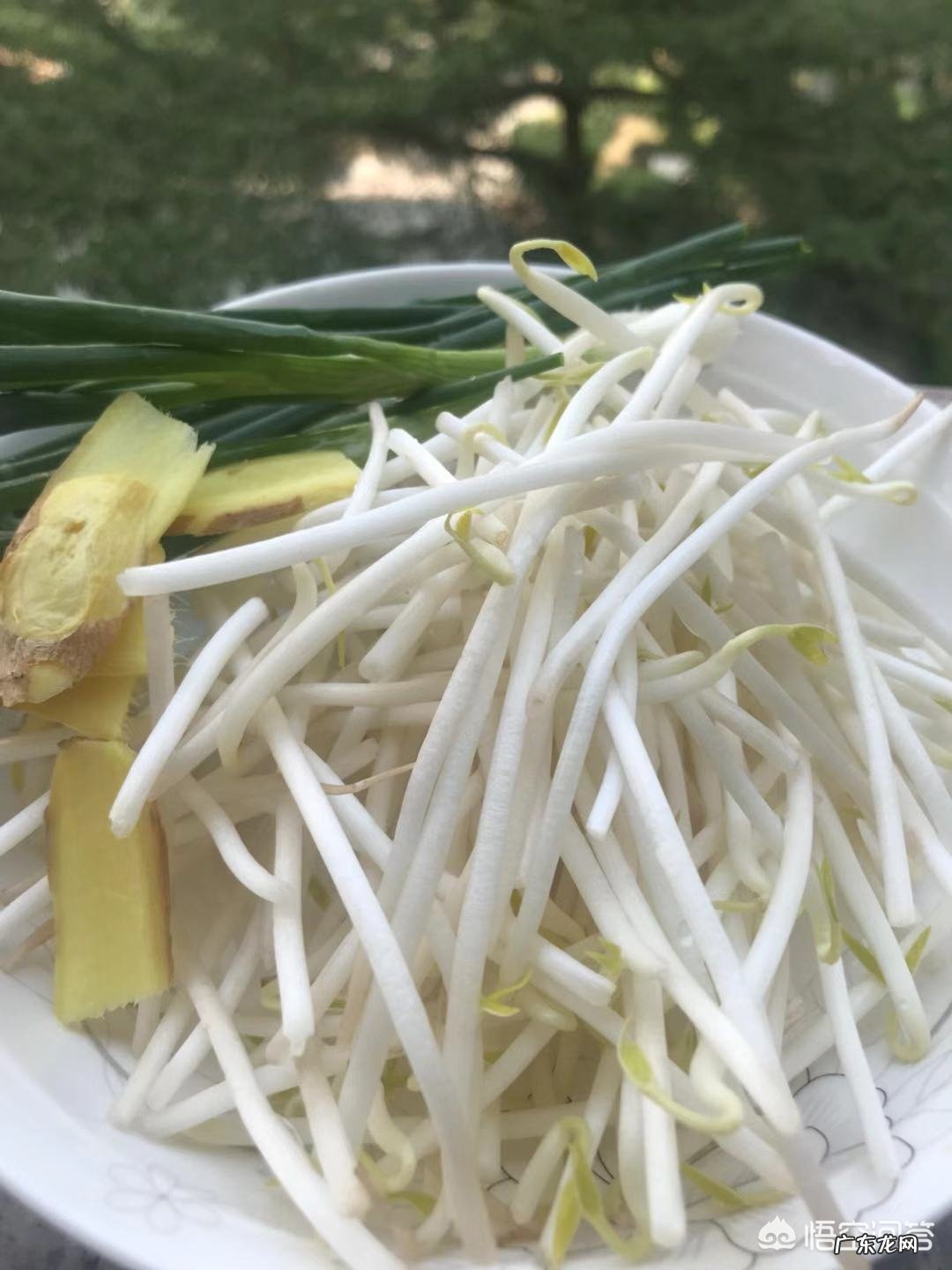 家里做什么鱼吃方便容易还好吃?