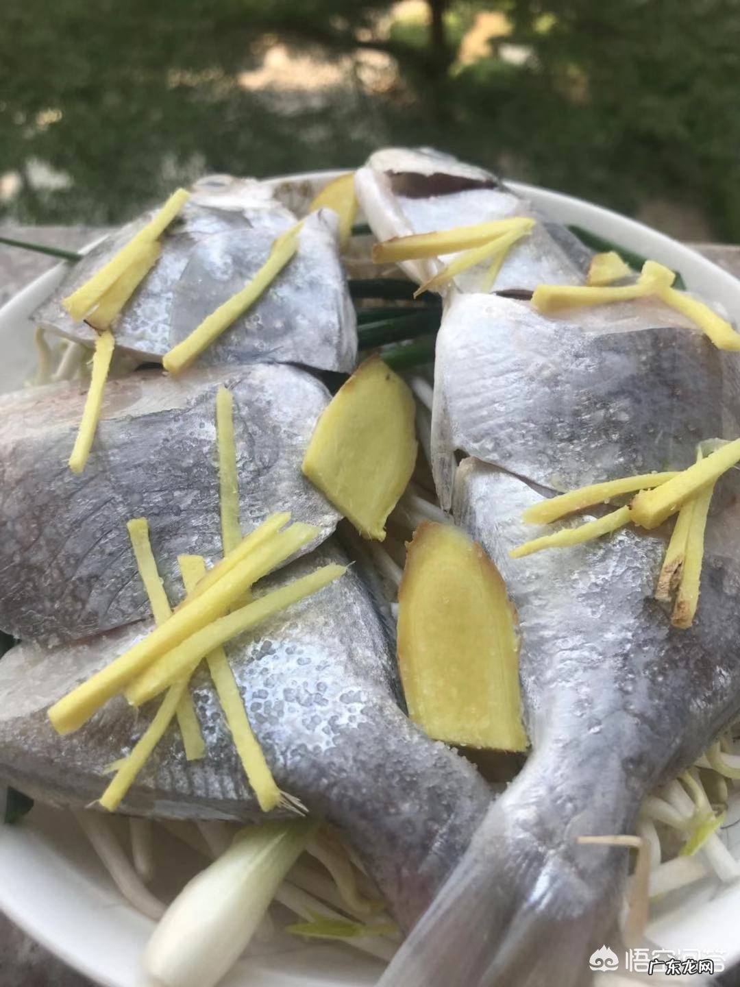 家里做什么鱼吃方便容易还好吃?