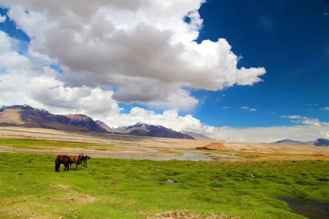 新疆有哪些景色值得一看,内地人来不能错过哪些美景和美食?