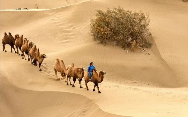新疆有哪些景色值得一看,内地人来不能错过哪些美景和美食?