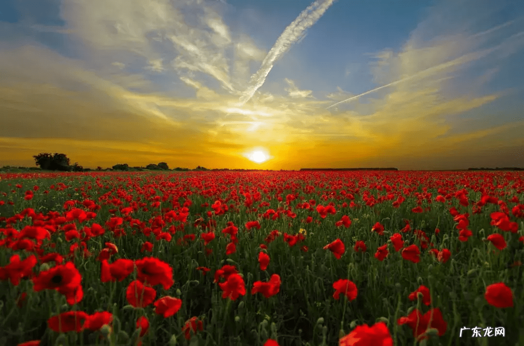 怎样知道林地的风水好坏 怎么能破坏别人家风水