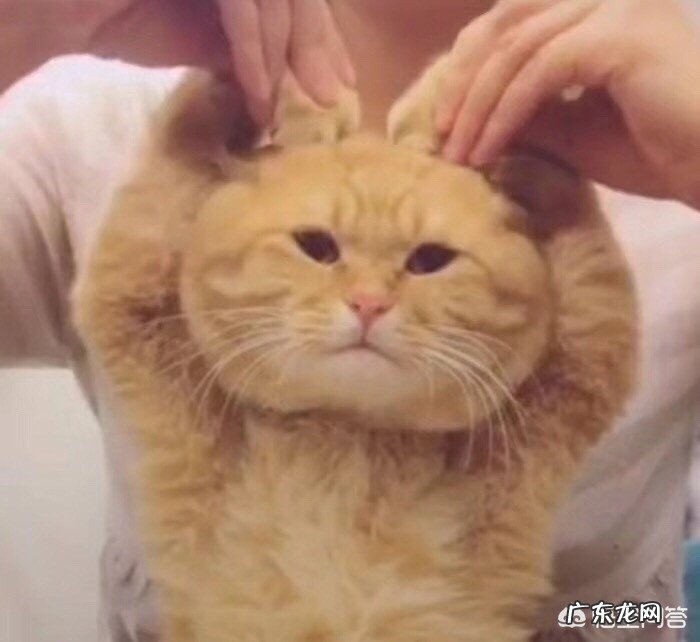 媳妇不喜欢花钱怎么办?