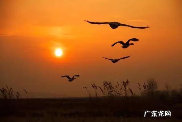 老是频繁的胃疼怎么回事 每天定点胃疼咋回事