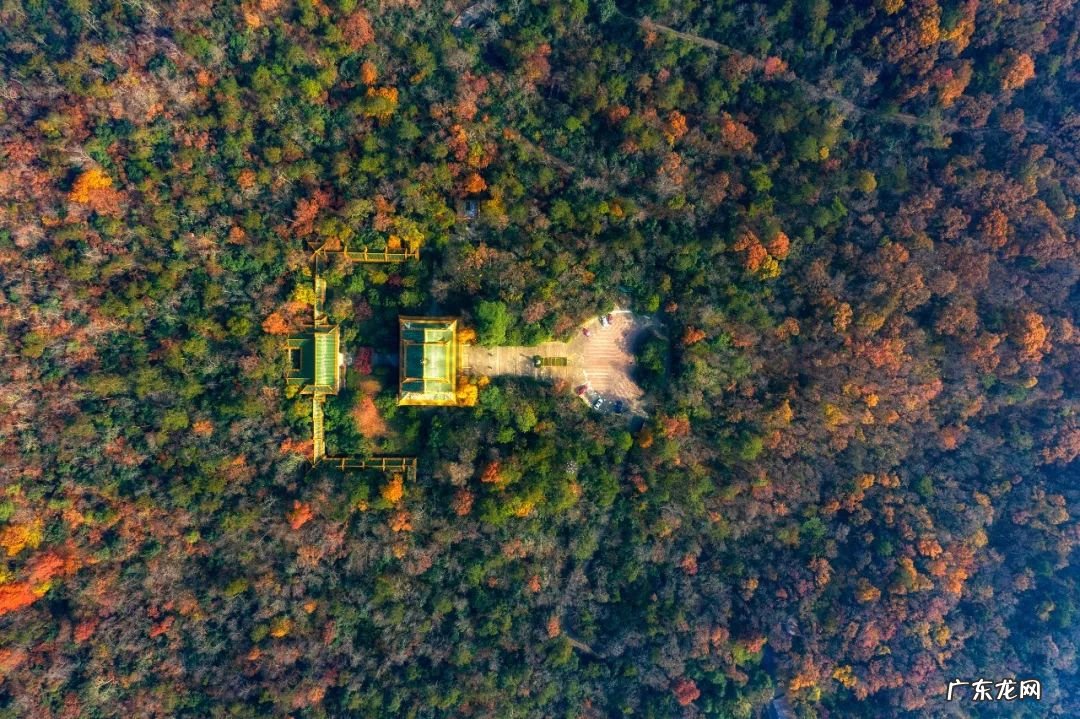 南京风水示意图 南京城东风水