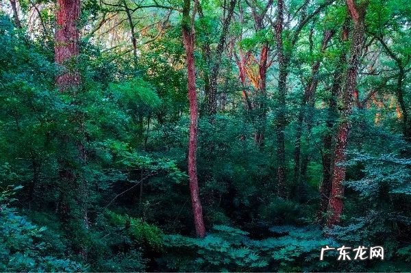 南京风水示意图 南京城东风水