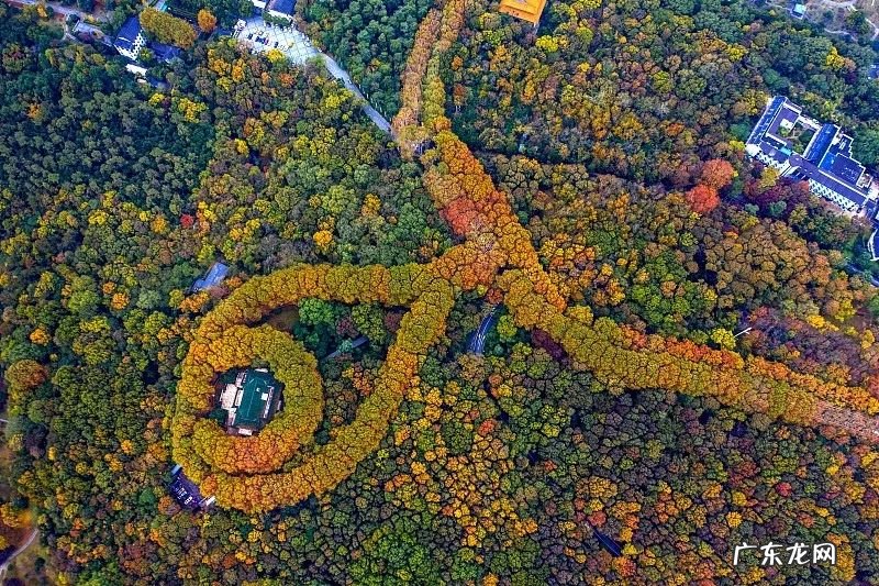 南京风水示意图 南京城东风水