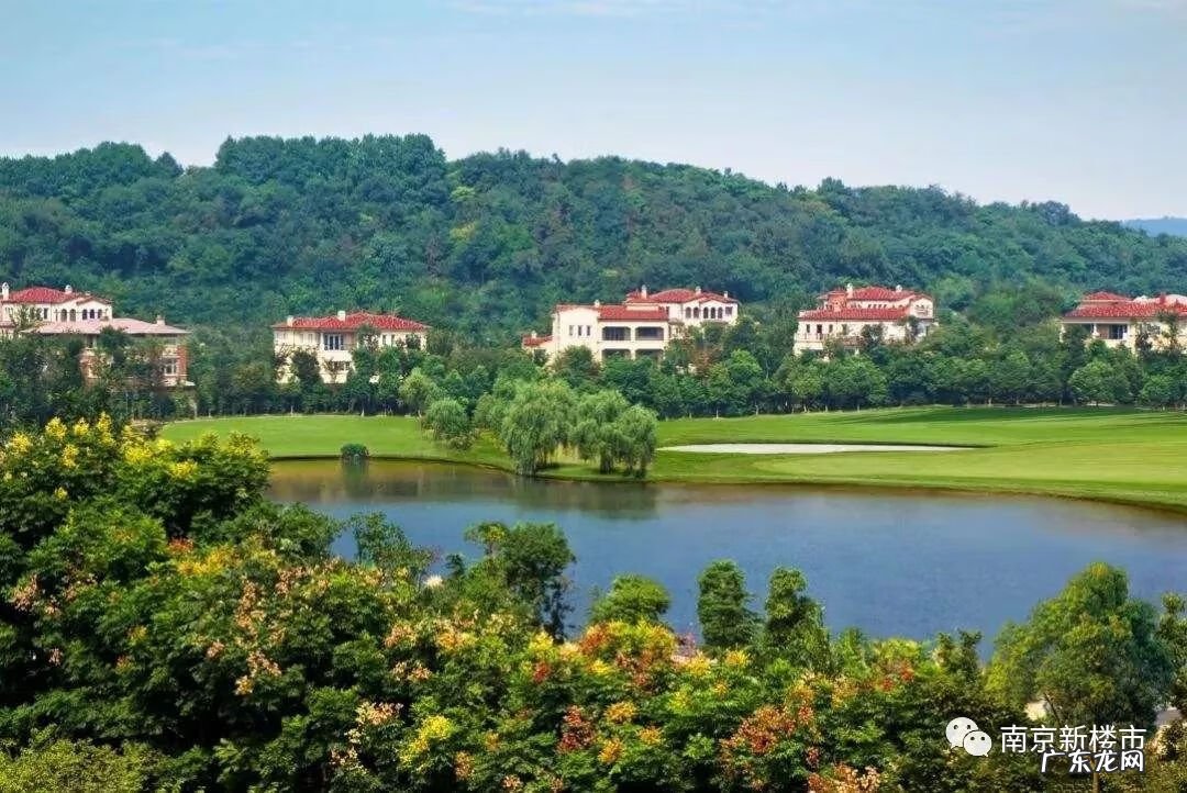 南京风水示意图 南京城东风水