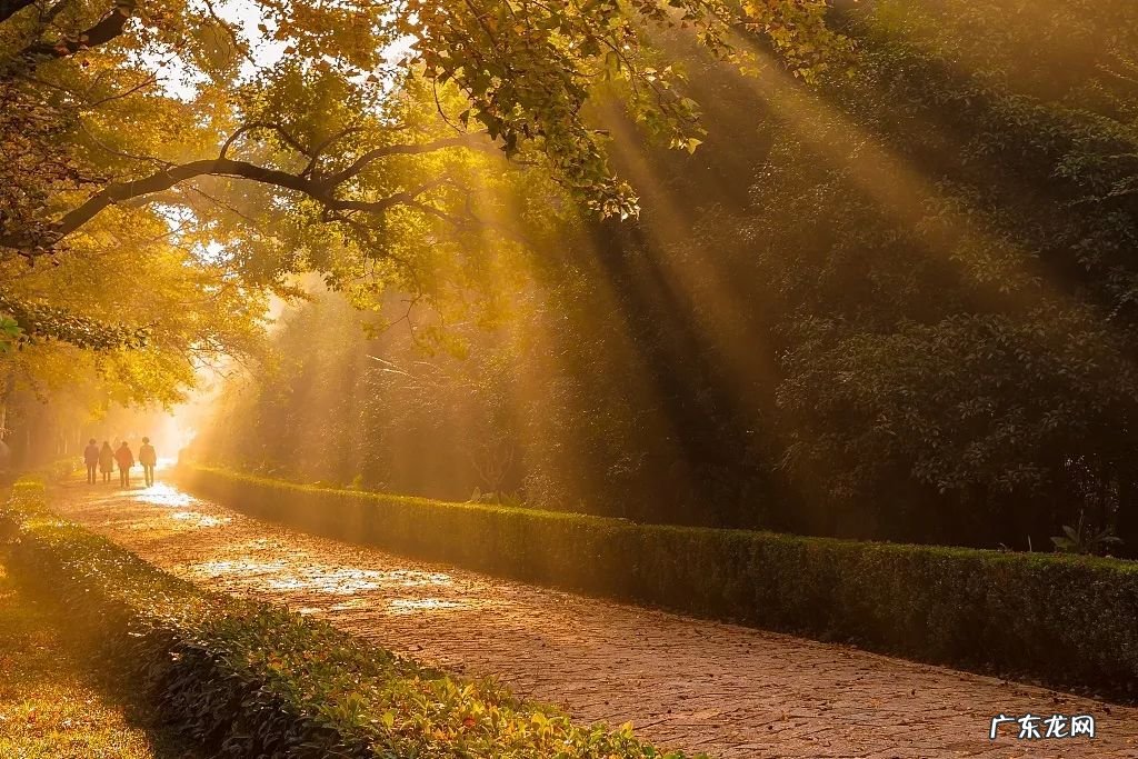 南京风水示意图 南京城东风水
