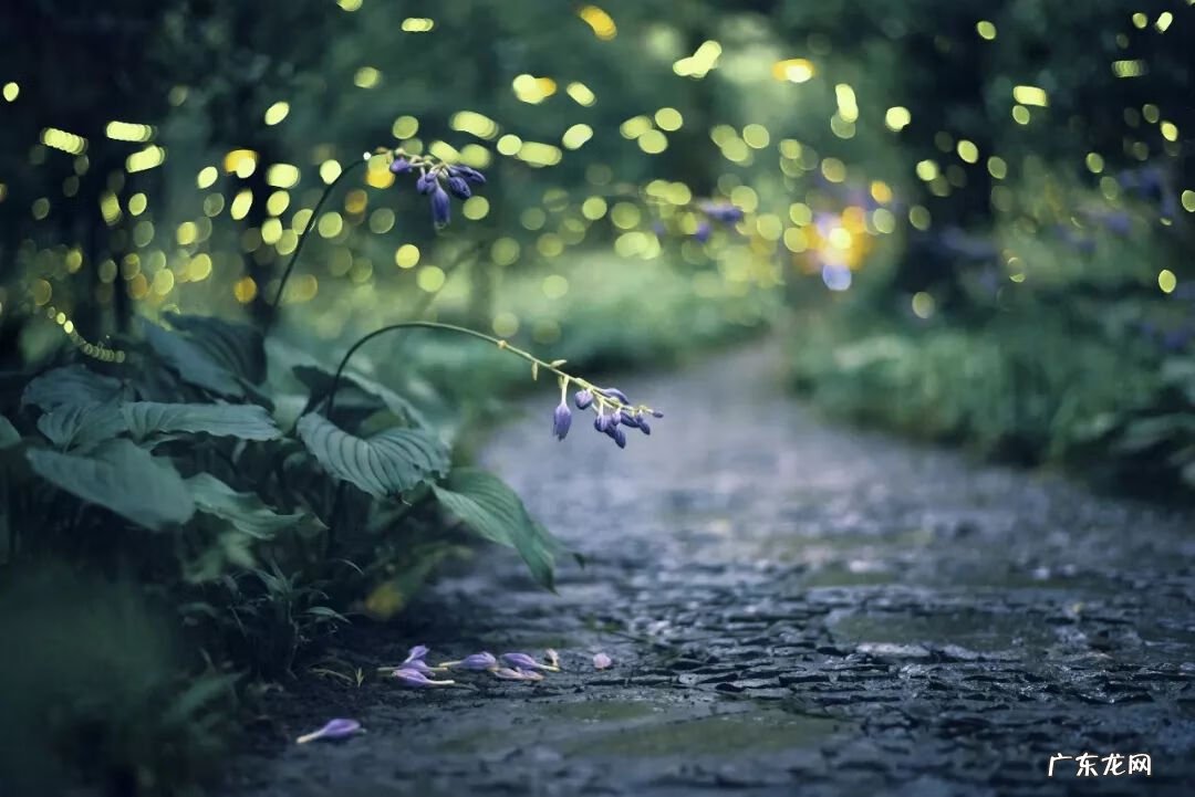 南京风水示意图 南京城东风水