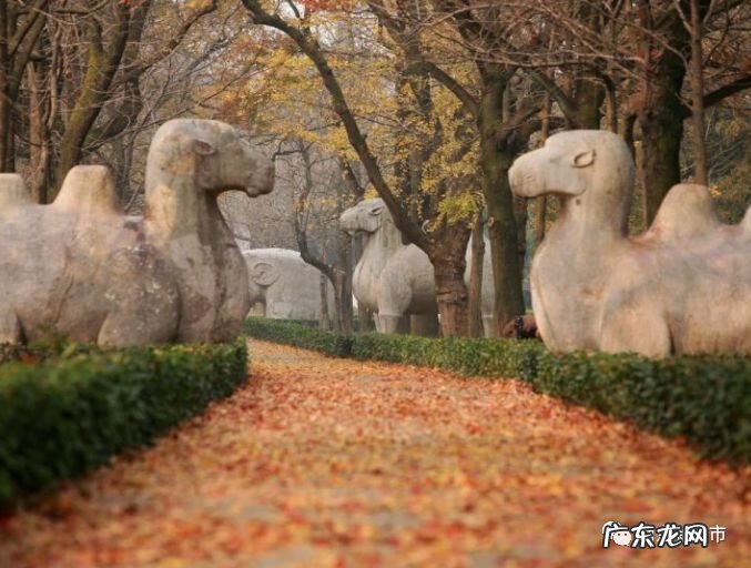 南京风水示意图 南京城东风水