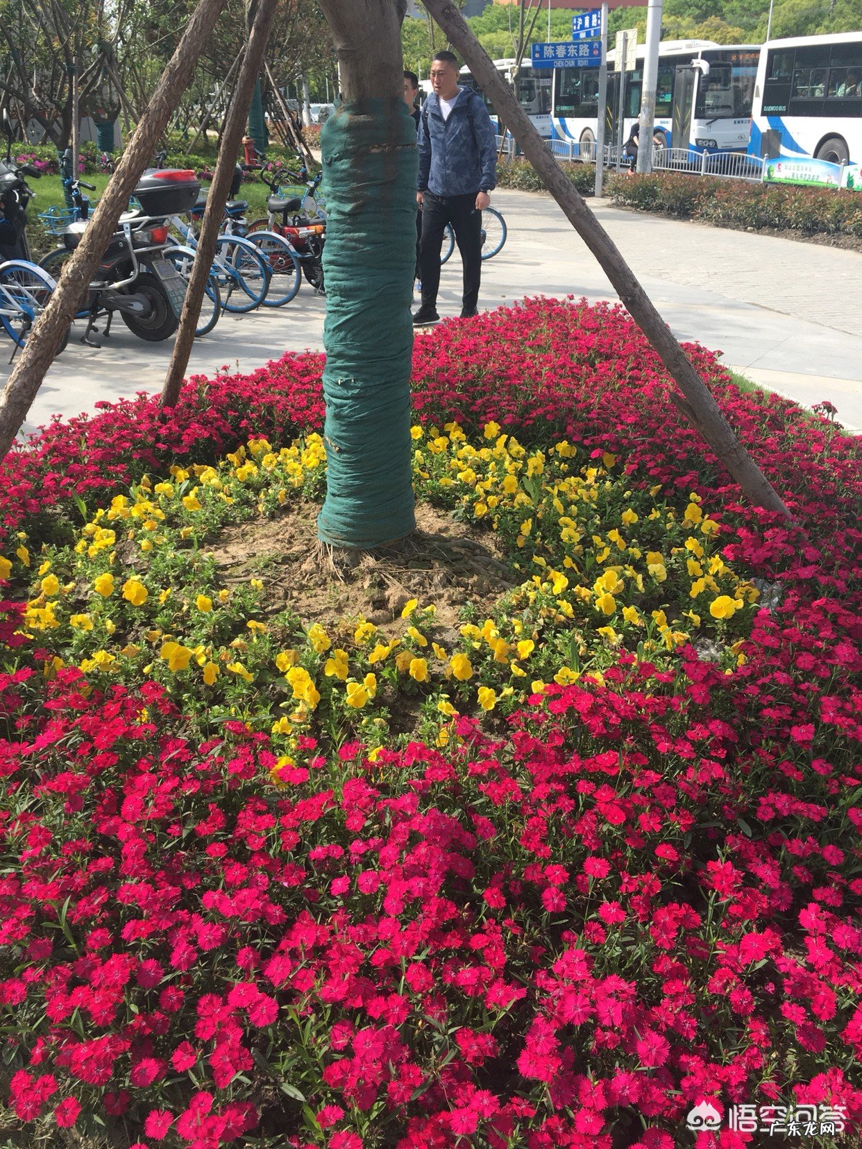 在你所在的国家,就剩了最后唯一一本书,你希望它是一本怎样的书?