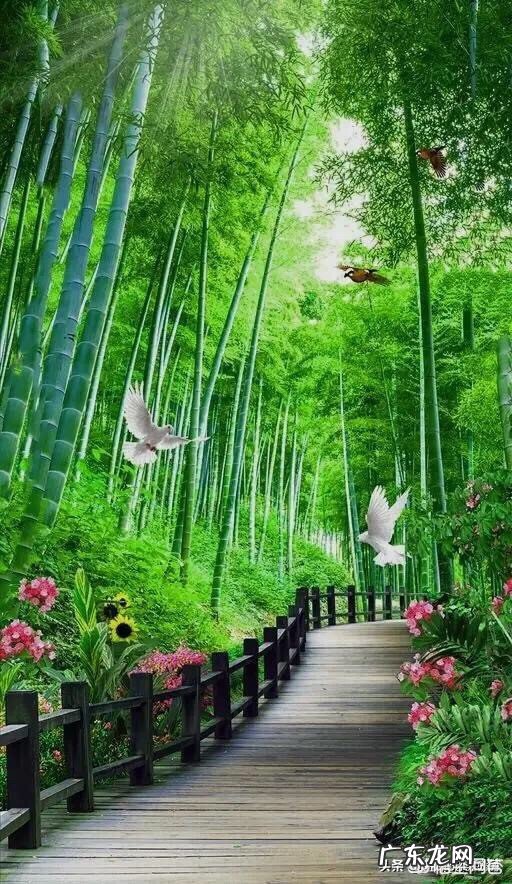 在你所在的国家,就剩了最后唯一一本书,你希望它是一本怎样的书?