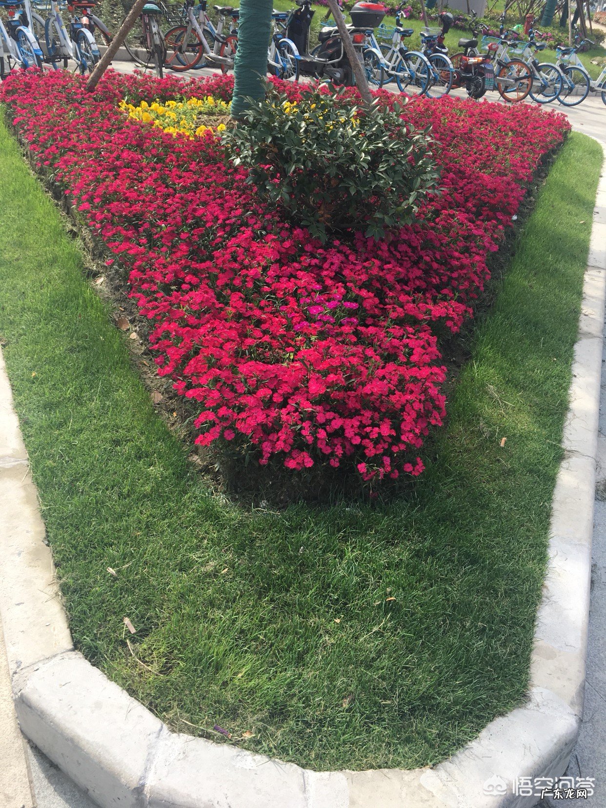 在你所在的国家,就剩了最后唯一一本书,你希望它是一本怎样的书?