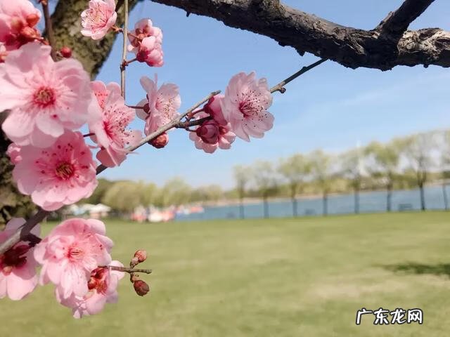 东方绿舟位于哪里 东方绿舟地址在哪里