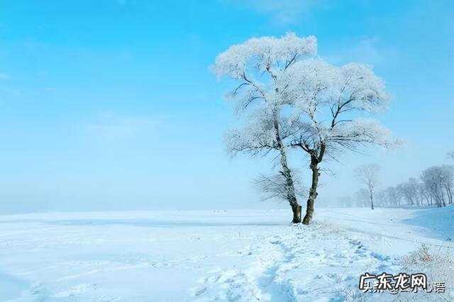 描写雪景的词语 描写雪景的文章有哪些