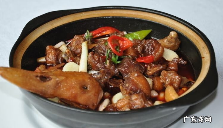 鸭子的各种做法大全 鸭的做法大全简单